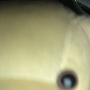 Meet your Posher, Heidi